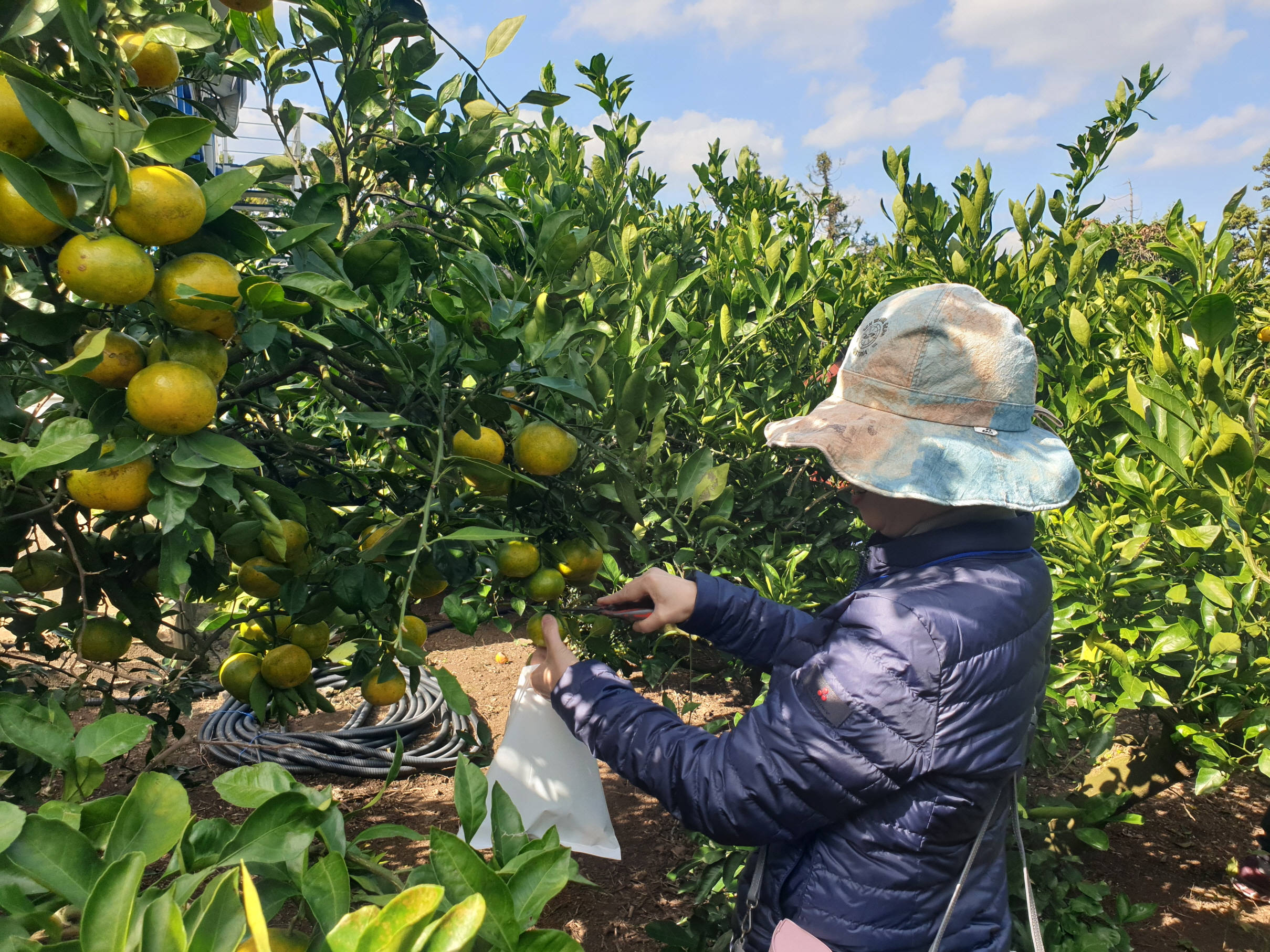 [크기변환]3_97035